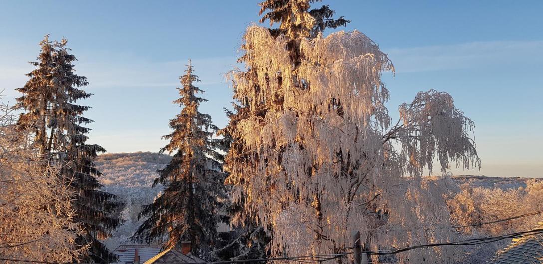 Matraszentimre Panzio Hotell Exteriör bild